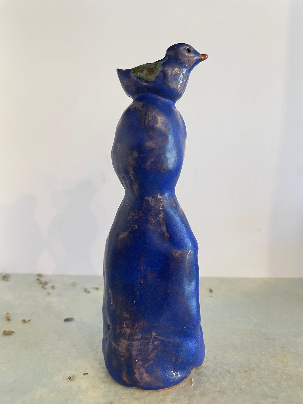 L’oiseau de ses pensées