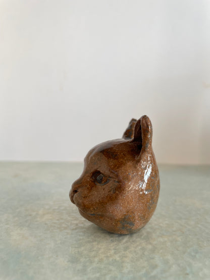 Une tête de chat