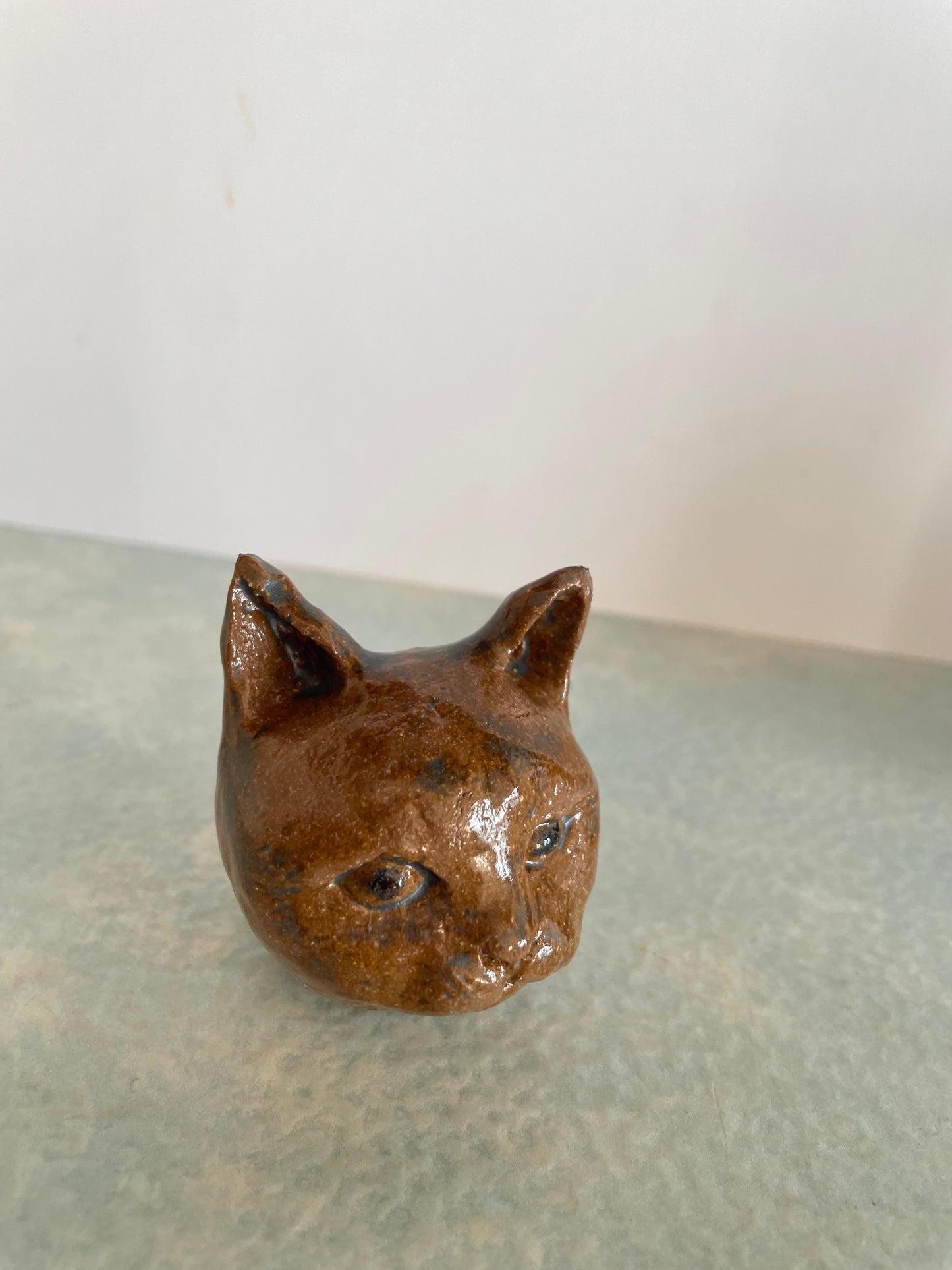 Une tête de chat