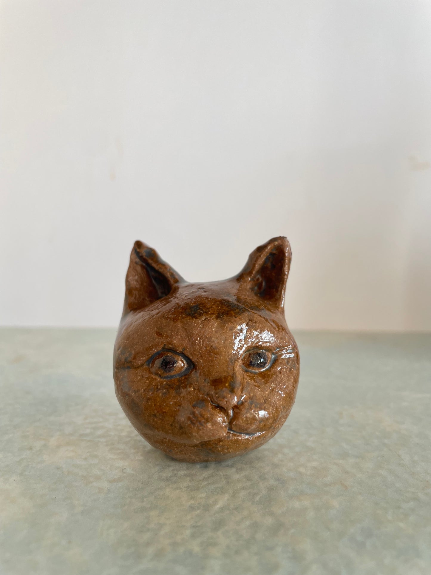 Une tête de chat