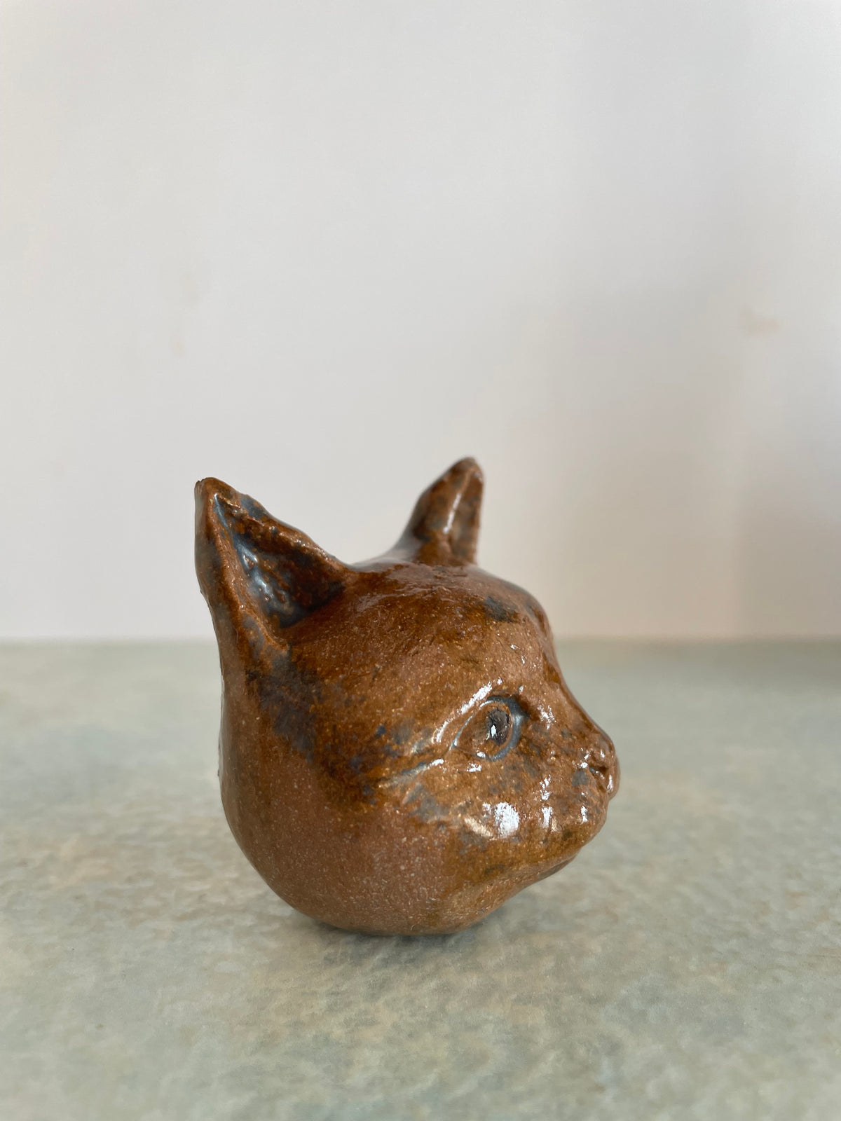 Une tête de chat